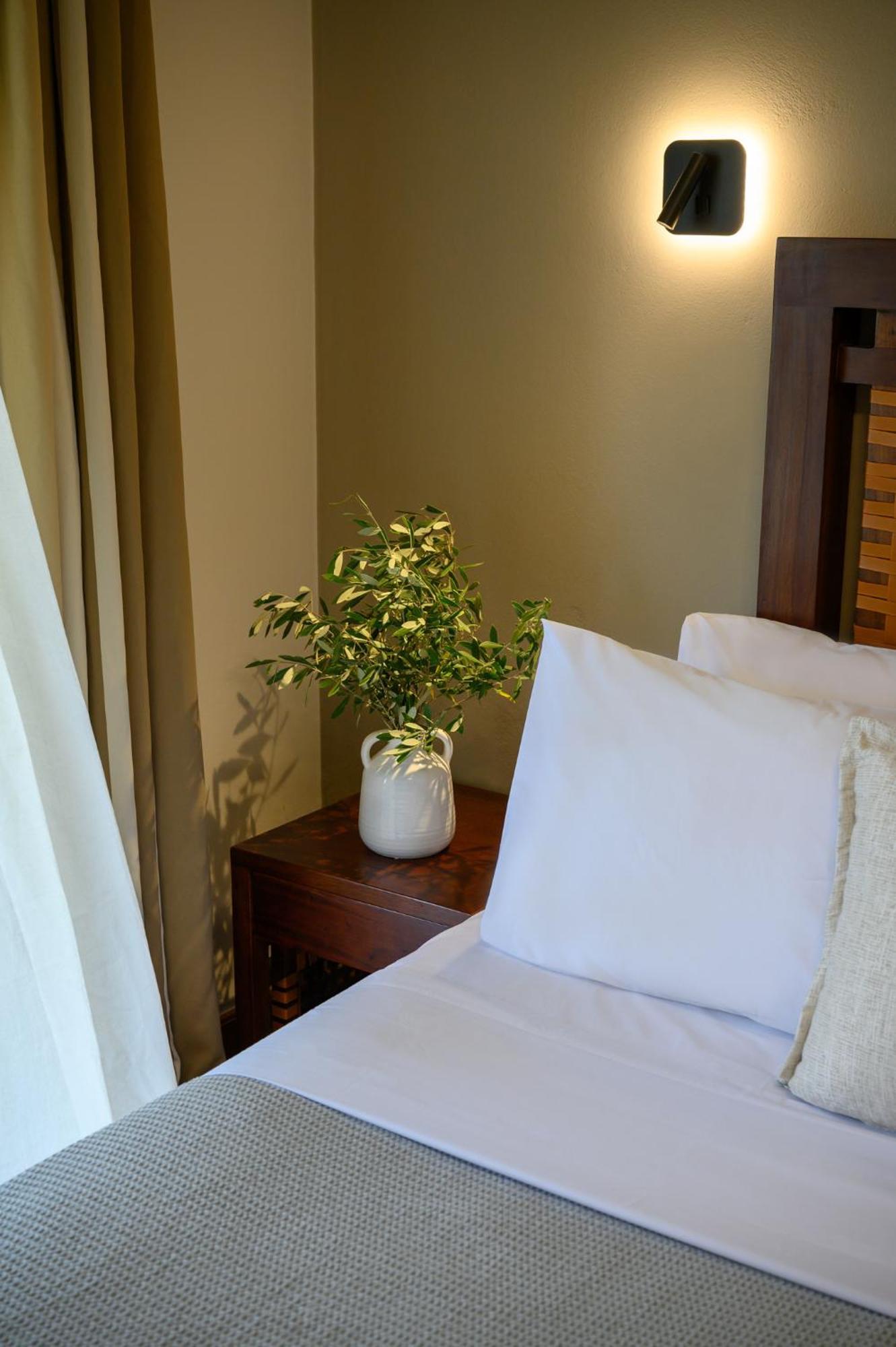 Elisso Boutique Hotel Vasilikí Eksteriør billede